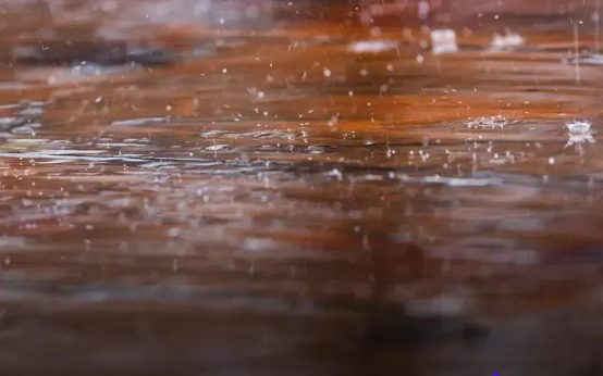 Eco-Friendly Furniture: Why Wood Is a Top Choice