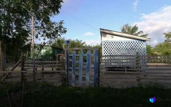 Exotic Woods Used in High-End Furniture: Discover Luxurious Craftsmanship